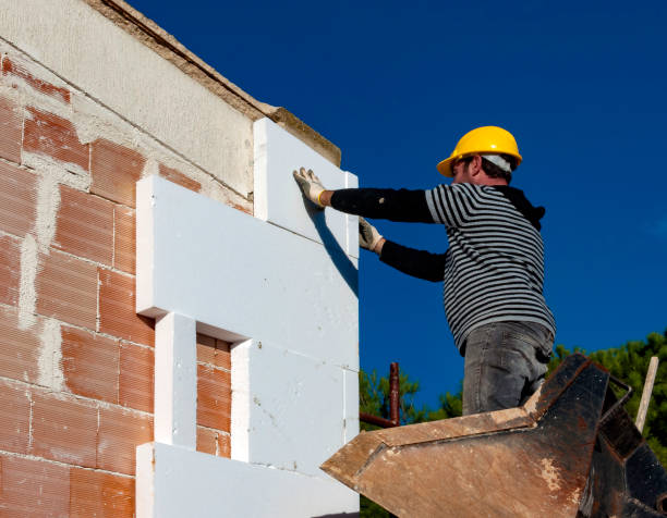 Best Energy Efficiency Solutions in Las Lomas, TX