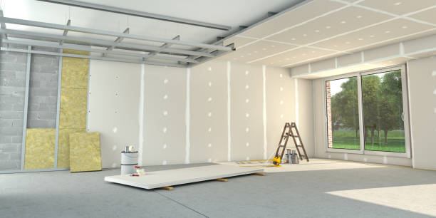 Best Insulation Installation Services in Las Lomas, TX